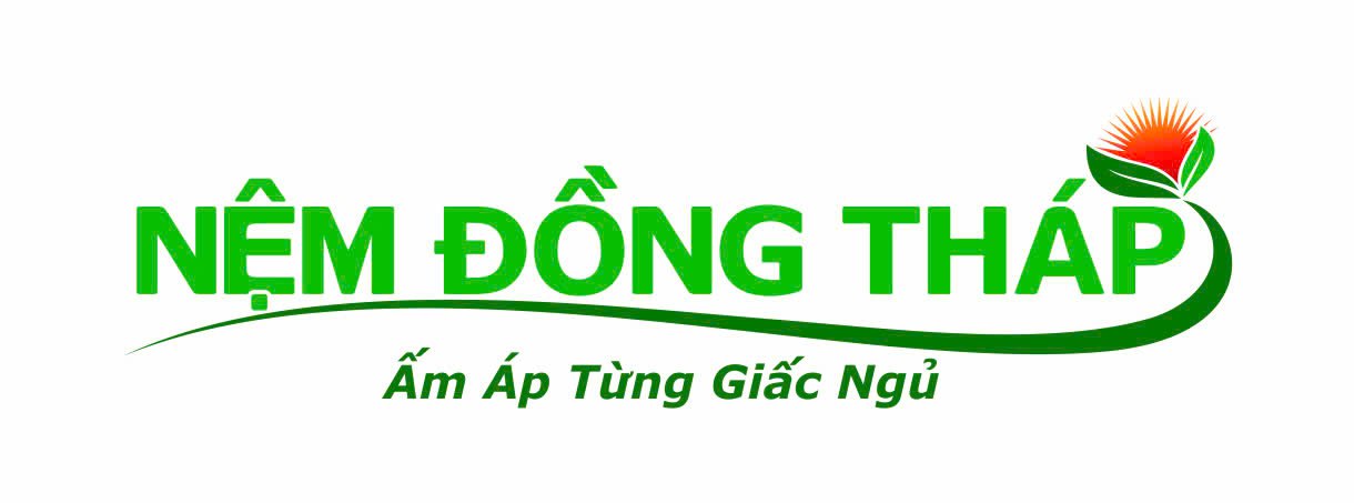 nemdongthap.vn